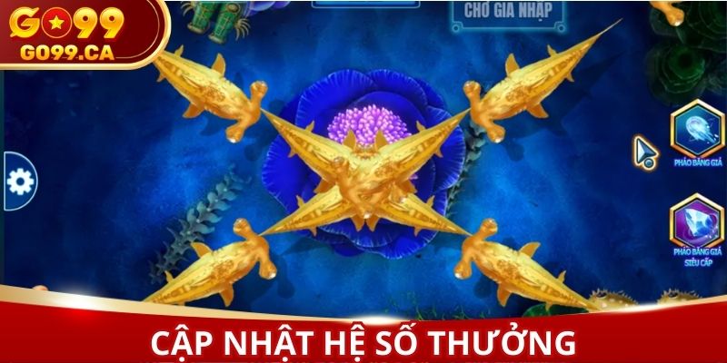 Cập nhật hệ số thưởng được cung cấp